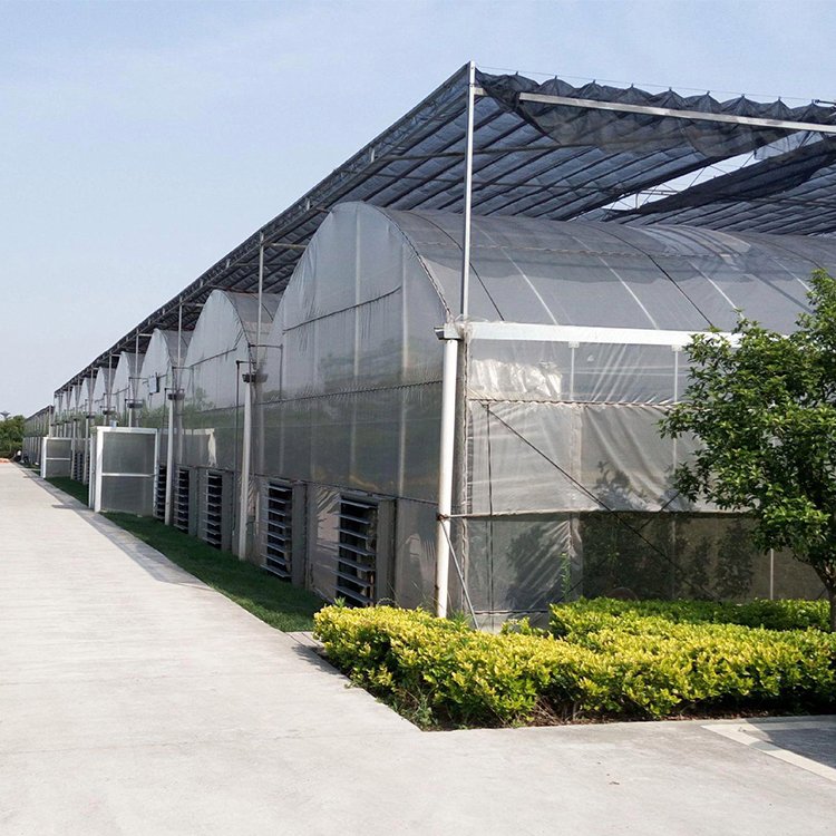 养殖大棚设计需要什么资质(搞养殖建大棚需要政府审批吗)