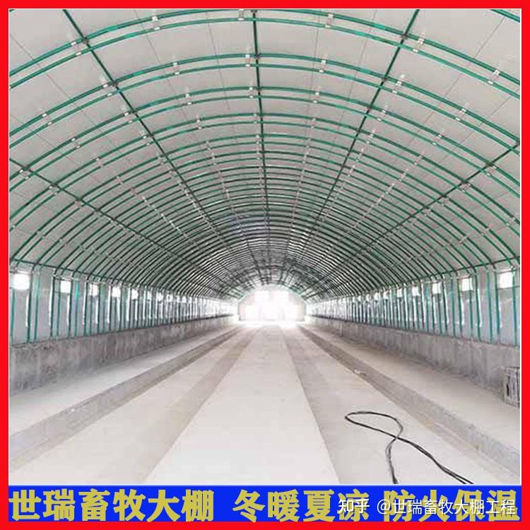 养殖鸡棚建设视频讲解教程(养殖鸡棚建设视频讲解教程图片)