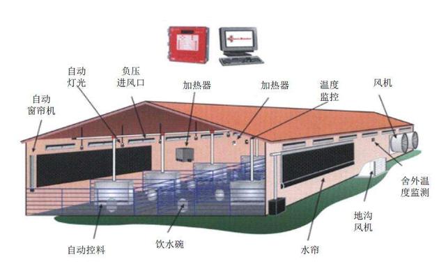 新式养鸡大棚建造方案怎么写好(新式养鸡大棚建造方案怎么写好看)