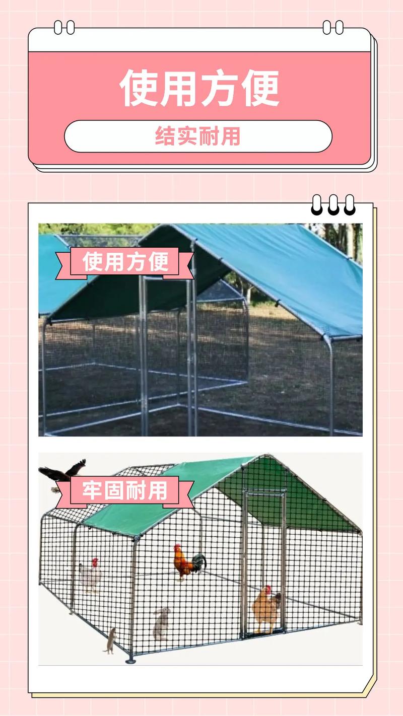养鸡棚怎样搭建最平宜-大棚养鸡的搭建方法？