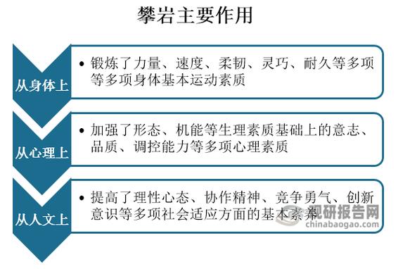 精神标准和能力的关系-柏拉图和康德认为精神能力包括？