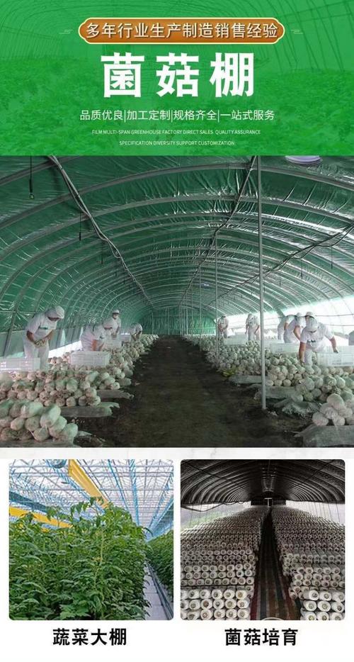 养鸡大棚安装视频讲解大全-大棚养鸡的搭建方法？