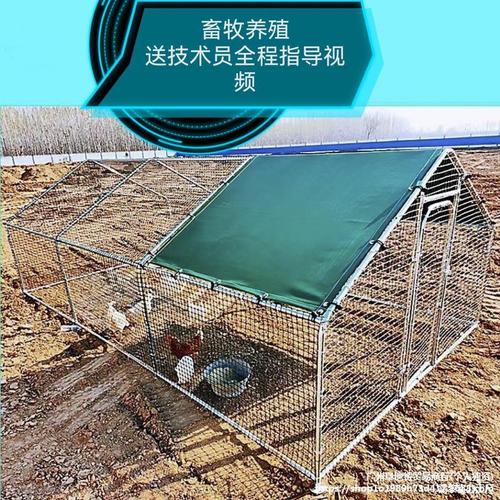 养鸡场大棚图片大全-大棚养鸡有哪些注意事项？
