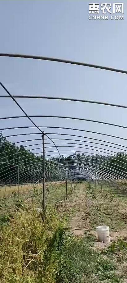 养殖大棚建造公司-养殖钢管大棚建造方法？