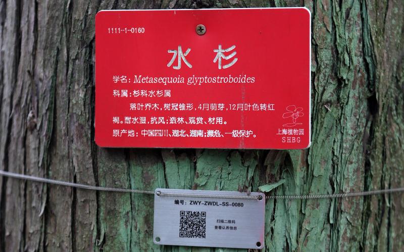 标识牌包括-植物标识牌的内容有哪些？