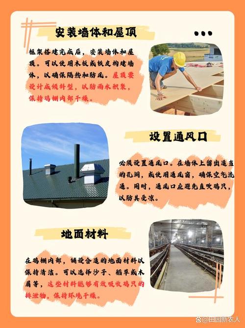 新式养鸡大棚建造方案及流程图-散养鸡棚怎么盖？