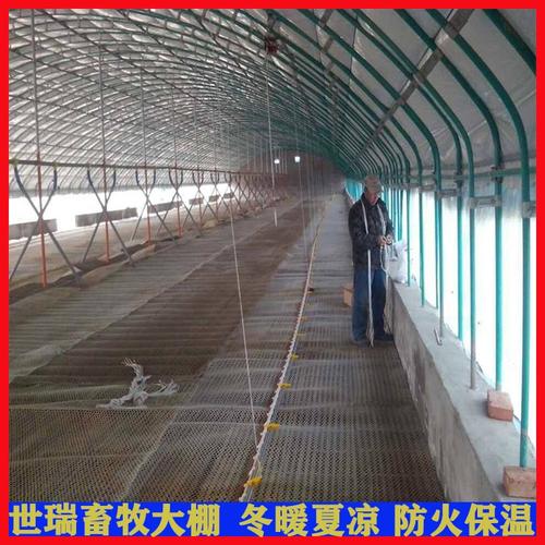 简易养鸡大棚的建设流程视频-大棚养鸡咋管理？