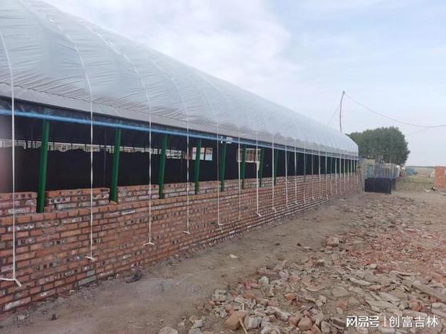 养鸡大棚搭建视频-散养鸡棚怎么盖？