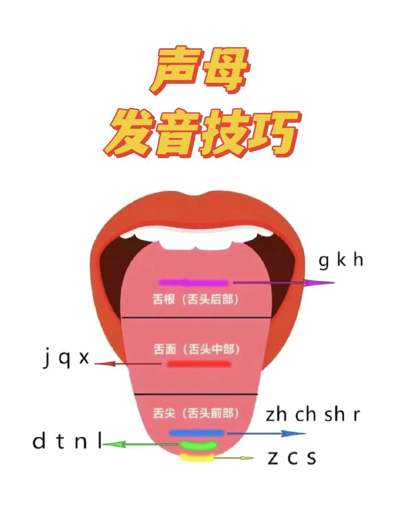 标识的读音怎么读-标识的读音？