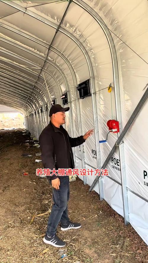 养殖鸡大棚通风口怎么留-大棚两头需要通风口吗？