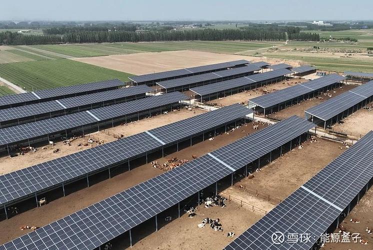 现代化养鸡棚-现代化养鸡场怎样建造？